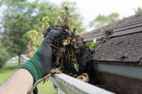 Driveway & Roof Cleaning Pontefract WF7